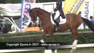 Falsterbo Horse Show warm up arena  Friday 14 July 2017  part 5 [upl. by Shore]