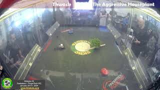 Thwack vs The Aggresive Houseplant Antweight Rookies  Kilobots 53 [upl. by Enellij696]