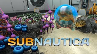 Subnautica kann ja auch süß sein Mysteriöse Eier im Zuchtbecken  Lets Play Deutsch 31 [upl. by Mosenthal]