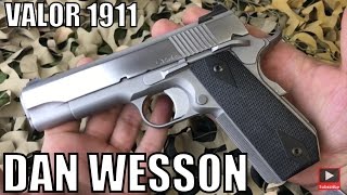 Dan Wesson 1911 Pointman Nine PM9 At The Range [upl. by Ativ]