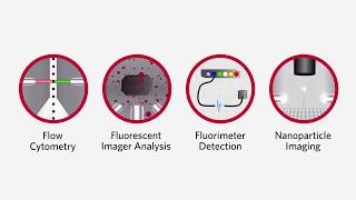 Luminex Detection Methods  Molecular Diagnostics amp Life Sciences [upl. by Sachsse952]