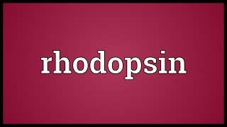 Rhodopsin Meaning [upl. by Raybin94]