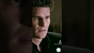 David Boreanaz actor mejor conocido por protagonizar quotAngelquot quotBuffy la Cazavampirosquot y quotBonesquot [upl. by Aneelahs864]