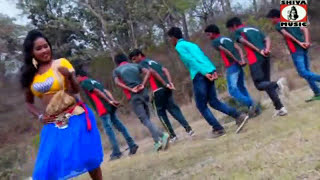 Purulia Song 2022  Jhule Jhule Ache  Biswanath amp Anita Das  Superhit  Manbhum Bangla Song [upl. by Aielam]