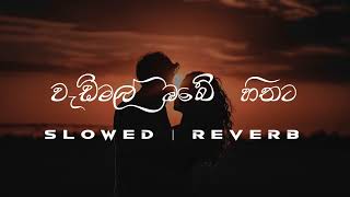 Wadimal Obe Hithata  වැඩිමල් ඔබේ හිතට  Slowed And Reverb  Relaxsrstudio [upl. by Aicnerolf568]