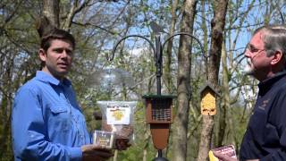 Pileated Woodpecker pecking and calling [upl. by Anifad]