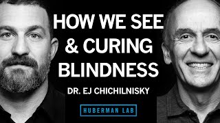 Dr EJ Chichilnisky How the Brain Works Curing Blindness amp How to Navigate a Career Path [upl. by Dwyer]