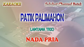 PATIK PALIMAHON ll KARAOKE BATAK ll LAMTAMA TRIO ll NADA PRIA ADO [upl. by Leif]