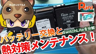 【修理・メンテ】友人からSwitchLiteのバッテリー交換とメンテを頼まれた！あんまんくまもっていく！ [upl. by Anamuj]