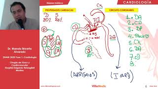 CARDIO  Anatomía y fisiología  ENAM 2020 [upl. by Nanni113]