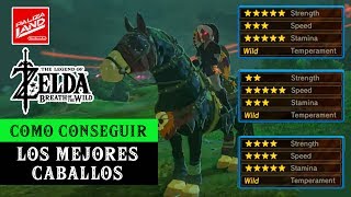 Secretos y trucos de Zelda Breath of the Wild  Como conseguir los mejores caballos 5 estrellas [upl. by Aynodal]