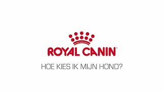 Hoe kies ik mijn hond [upl. by Obie853]