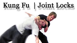 Choy Li Fut  Drunken Form [upl. by Razatlab]