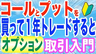 【オプション取引】コールとプットを両方買う戦略 ロングストラングルを１年売買すると [upl. by Enaitsirk95]