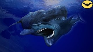 The 5 Most Terrifying Megalodon Enemies [upl. by Anetsirhc50]