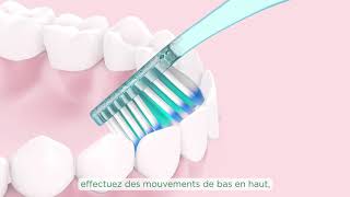 Comment se brosser les dents [upl. by Uahsoj]