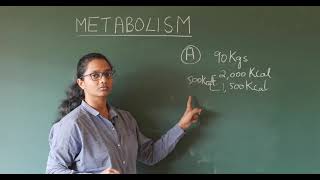 Metabolism  Catabolism and Anabolism [upl. by Callum]