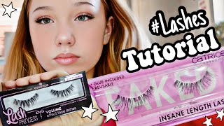 TUTORIAL LASHES KLEBEN für ANFÄNGER 🎀 WIMPERN AUFKLEBEN 🎀 dm HAUL  HEY ISI [upl. by Shabbir241]