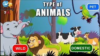 Types of Animals  Wild Domestic Pet [upl. by Adnirim]