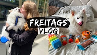 Mein Leben mit Wally  HundeGeburtstag  Freitagsvlog 72 [upl. by Vitale]