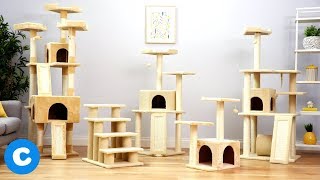 Frisco Cat Trees [upl. by Mic]