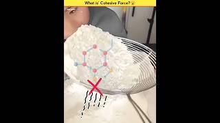 What is Cohesive Force😮ytshorts hindifacts fact [upl. by Damon]