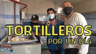 ¿Cómo es trabajar en una tortillería [upl. by Aziar]