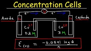 Concentration Cells amp Cell Potential Calculations  Electrochemistry [upl. by Nadual377]