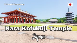 Kofukuji Temple Nara Japan  Discover one of the oldest temple in Japan  TT Travel Photography [upl. by Assirod]