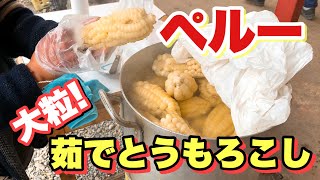 【ペルー屋台】蒸しとうもろこしとチーズの組み合わせが最高！ペルー旅で出会った屋台飯をどうぞ [upl. by Wainwright]