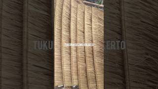 thatched roof production  atap alang alang [upl. by Esidnac]