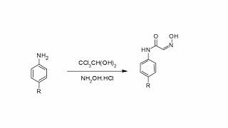 ISATIN synthesis and reactions organic chemistry group MAA2 [upl. by Hoebart178]