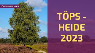 Die Töps Heide während der Heideblüte  LÜNEBURGER HEIDE 4K [upl. by Robbins]