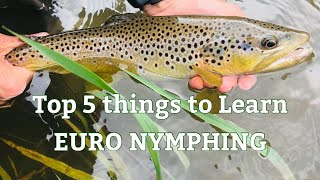 HOW to become better at EURO NYMPHING TOP 5 things to LEARN [upl. by Phedra]