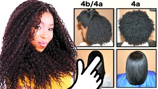 Natural Hair Types EXPLAINED In Detail w PICTURES 4C 4B amp 4A HAIR CHART [upl. by Wein296]