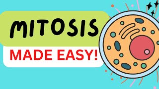 MITOSIS CELL DIVISION IN 3 MINUTES  STAGES PROPHASE PROMETAPHASE METAPHASE ANAPHASE TELOPHASE [upl. by Einiar845]