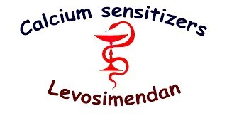 Сalcium sensitizers Levosimendan Mechanism of action side effects indications dosage [upl. by Mllly]