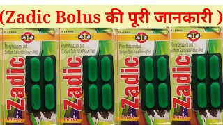 Zadic bolus की पूरी जानकारी पशुओ मे लंगड़ाहट और colic pain की जबरजस्त दवा [upl. by Shippee]