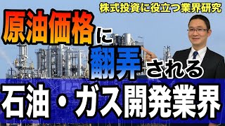 【石油・ガス開発業界まとめ】原油価格の下落や化石燃料脱却はどう影響する！ [upl. by Llehcnom]