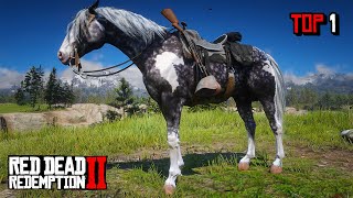 Red Dead Redemption 2  Freeroam riding on Missouri Foxtrotter Dappled Grey  quick look [upl. by Blanca]