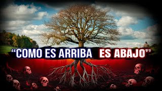 El Significado Oculto Detrás De Como Es Arriba Es Abajo  Despertar Espiritual [upl. by Rayham]