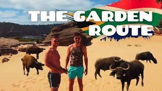 Ultimate Garden Route Road Trip Tips  South Africa 🇿🇦 [upl. by Dido492]