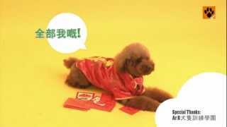 專業訓犬師 教你新春拜年動作訓犬技巧！【My Pet寵物閑情】 [upl. by Babbette]