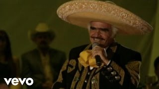 Vicente Fernández  Por un Amor En Vivo [upl. by Tilford]