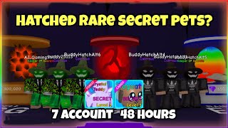 I Used 7 Account To Hatch All The Perm Eggs For 48 Hours Rare Secret Pets  Bubble Gum Simulator [upl. by Frayda]