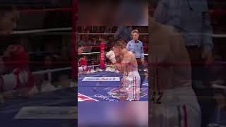 Pacquiao Destroys Díaz Epic KO Manny Pacquiao vs David Diaz Jun 28 2008 boxing [upl. by Hayila]