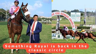 SOMETHING ROYAL wins The South India 1000 Guineas Gr2 [upl. by Johnston]