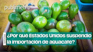 ¿Por qué Estados Unidos suspendió la importación de aguacate desde Michoacán [upl. by Euqinamod]