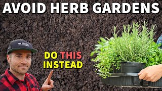 Why Interplanting Herbs Is BETTER Than Growing An Herb Garden [upl. by Nautna66]