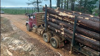 Peterbilt log truck amp new shop tools [upl. by Ellemac]